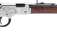 HENRY SILVER EAGLE 2ND ED. - 22S/L/LR 20" OCTAGON ENGRAVED