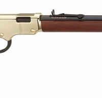 HENRY GOLDENBOY 17HMR - 20" OCTAGON WALNUT