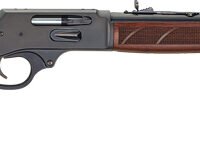 HENRY STEEL SIDE GATE 30-30 - 20" BLUED WALNUT