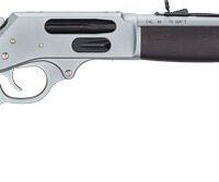 HENRY ALL WEATHER SIDE GATE - 45-70 18.43" CHROME BLACK LL