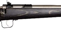 CRICKETT RIFLE G2 22LR - S/S BLACK LAMINATE