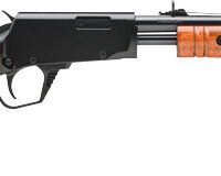 ROSSI GALLERY  22LR PUMP - 18" 15-SHOT BLACK WOOD