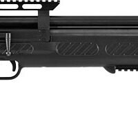 HATSAN BULLBOSS .22 PCP 1250 - FPS BLACK/SYNTHETIC W/2 MAGS