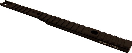 XS LEVER RAIL HENRY .44