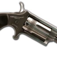 NORTH AMERICAN ARMS THE WASP 22MAG REV 1-5/8" SS