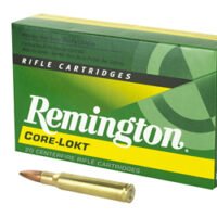 REM 30-06 180GR PSP CL 20/200