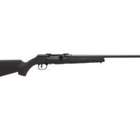 SAVAGE ARMS A17 17HM2 BL/SYN 22" 10+1 AT