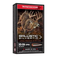 WIN BLSTC TIP 3006SP 180GR 20/200