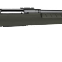 SAVAGE ARMS AXIS 2 243WIN BL/GRN 22"