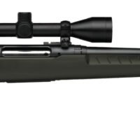 SAVAGE ARMS AXIS 2 308WIN BL/GRN 22" PKG