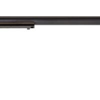HERITAGE MANUFACTURING RR 22LR BLUE 16" 6RD FS