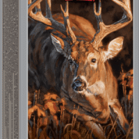 WINCHESTER DEER SEASON XP 450 BSHMSTR 250GR 20RD BX 200RD CASE