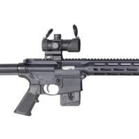 SMITH AND WESSON M&P15-22 SPORT OR 22LR 10+1 CA