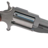 NORTH AMERICAN ARMS THE EARL 22LR/22MAG 3" SS 5SH