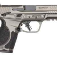 M&P 9 M2.0 Metal Cmpct 9mm 4" TS Gry 2/10rd CA