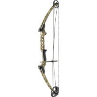 Genesis Gen-X Bow Approach RH