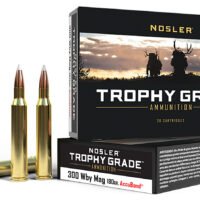 Nosler 48643 Trophy Grade 300WthbyMag 180gr Nosler AccuBond 20 Per Box/10 Case