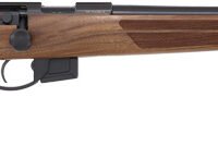 ANSCHUTZ 1761 D HB 17HMR - 20" BLUED/WALNUT CLASSIC