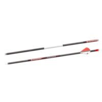 Bloodsport Punisher Arrow 400 Spine 6/pk
