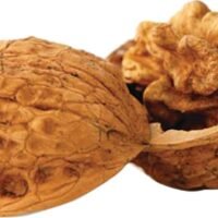 Berry's Walnut Media 8 lb. Box
