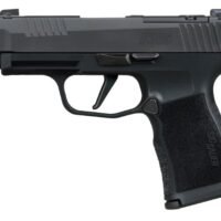 P365XL Comp 380 ACP 3.1" OR XRAY3 BLK 2/12rd