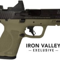 M&P9 M2.0 CPT Bndl 9mm 3.6" RFX11 ODG 5/15 IVS