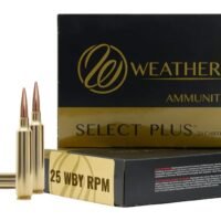 WTHBY B25RPM117LRX 25WBY RPM 117G BARNES LRX 20/10