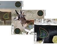 Champion Visicolor Real Life Target - Big Game