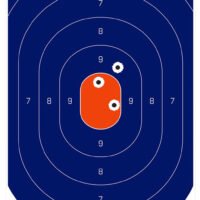 Birchwood Casey 35718 Dirty Bird  Silhouette Tagboard Hanging Universal 12" x 18" Blue/Orange 8 Per Pkg