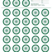 EZ-Aim 15582 Official IBS  Rimfire Target  Non-Adhesive White/Green 25 Pack