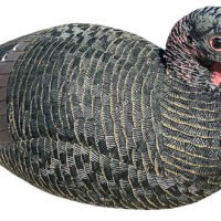 Bone Collector BC150006 Hen Decoy Lay Down Turkey Species Multi-Color