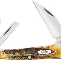 Case 65347 Seahorse Whittler Seahorse Whittler Folding Coping/Pen/Wharncliffe Plain Mirror Polished Tru-Sharp SS Blade, Burnt Dark Amber 6.5 BoneStag Handle