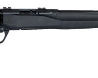 B22MagnumF 22WMR 21" 10rd