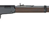 L/A Frontier 22 S/L/LR 24"BL ASWlnt 16rd