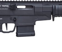 CITADEL TAIPAN 300BLK PUMP - 16.5" STEEL BBL THREADED 10RD