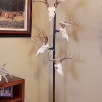 SKULL HOOKER TROPHY TREE W/ 5 - BRACKETS CUSTOMIZABLE DISPLAY