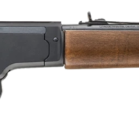 CHIAPPA LA322 BANDIT TAKEDOWN 22LR RIFLE WOOD STOCK 12" BARREL PISTOL GRIP/WOOD STOCK