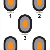 Action Target 530OC100 Bullseye  Bullseye Paper 23" x 35" Multi-Color 100 Per Box