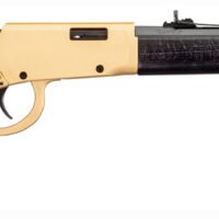 Rossi RL22181WD-GLD2 Rio Bravo  22 LR 15+1 18" Polished Black Barrel, Gold Finish Rec, Black Hardwood Stock