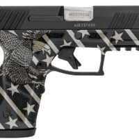 Taurus 1-GX2931-EN1 GX2  Compact Frame 9mm Luger 13+1 3.38" Stainless Steel Barrel, Matte Black Serrated Alloy Steel Slide, Black w/Eagle, Stars & Stripes Polymer Frame w/Accessory Rail