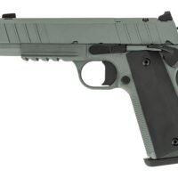 Tisas Arms 10100135 1911 Night Stalker Carry 45 ACP 8+1 4.25" Black Bull Barrel, Gray Cerakote Carbon Steel Serrated Slide, Gray Cerakote Carbon Steel Frame w/Beavertail & Picatinny Rail, Black Rubber