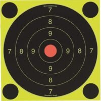 Birchwood Casey Shoot-N-C International Target