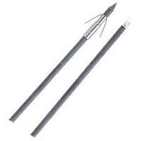 Muzzy Lighted Carbon Composite Arrow with Carp Point