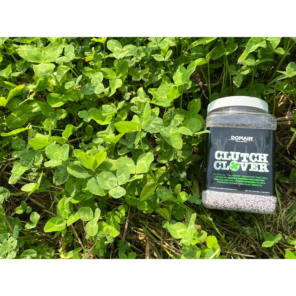 Domain Clutch Clover Seed 1/4 Acre - Image 3