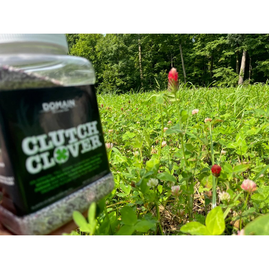 Domain Clutch Clover Seed 1/4 Acre - Image 2