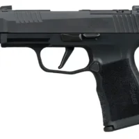 SIG SAUER P365XL COMP M.S. 380ACP PISTOL 3.1" X SERIES, O.R. 2-12RD MAG