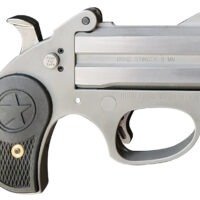 Bond Arms BASRS Stinger 9mm Luger 2rd 2.5" Matte Stainless Steel Double Barrel & Frame, Rebounding Hammer, Blade Front/Fixed Rear Sights, Black Rubber Grip, Manual Safety