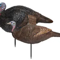 Primos 69075 Lil' Gobblestopper Jake & Hen Combo Turkey Species Multi Color