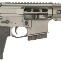 Patriot Ordnance Factory 2171 P15 Constable 300 Blackout 30+1 10.50" M-LOK Handguard, Tungsten Cerakote Aluminum Receiver w/Picatinny Rail, Black Polymer MFT Blade Stabilizer, MFT Grip