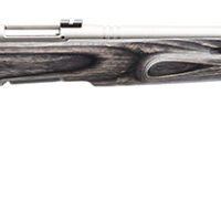 Savage Arms 96972 B.MAG Target Full Size 17 WSM 8+1 22" Matte Stainless Heavy Barrel, Matte Drilled & Tapped Stainless Steel Receiver, Matte Gray Thumbhole Laminate Stock, Right Hand